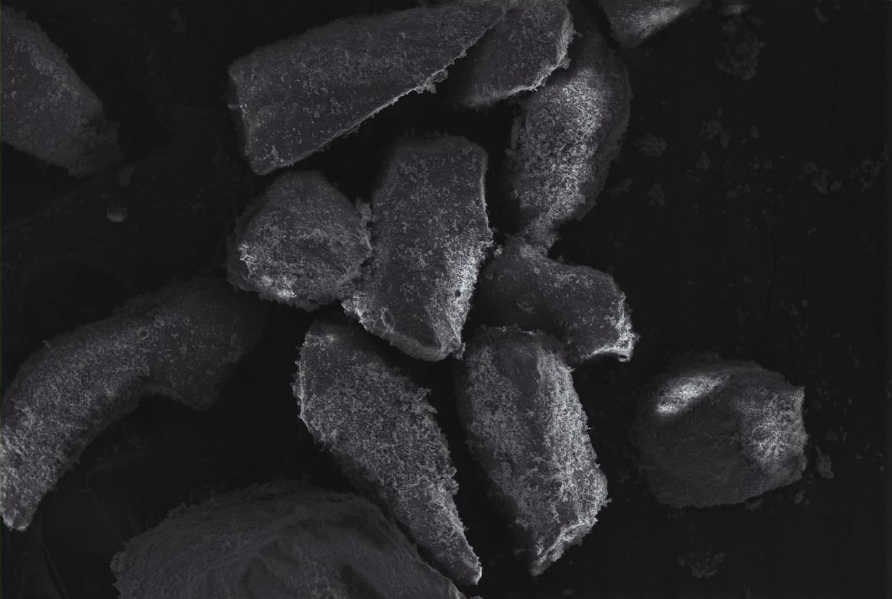Nacre granules from the Bionacre Bone Graft programme